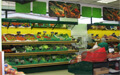 centro vetrine inox foto negozio frutta e verdura